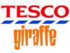 Tesco Giraffe and Longcross Construction Contract Win 